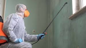 Best Mold Remediation for Healthcare Facilities  in USA